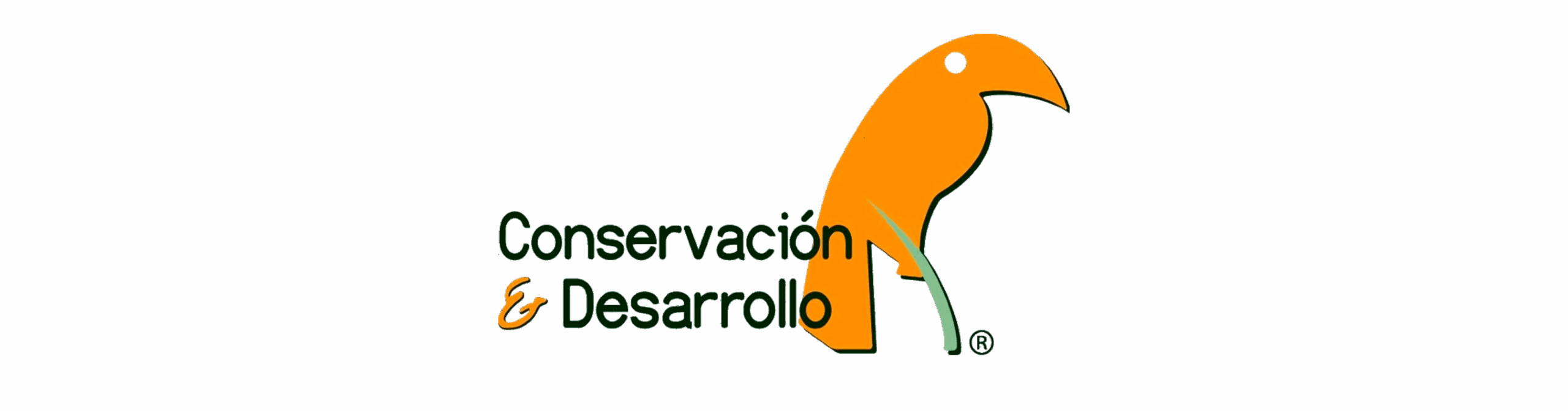 Logo Conservación & Desarrollo