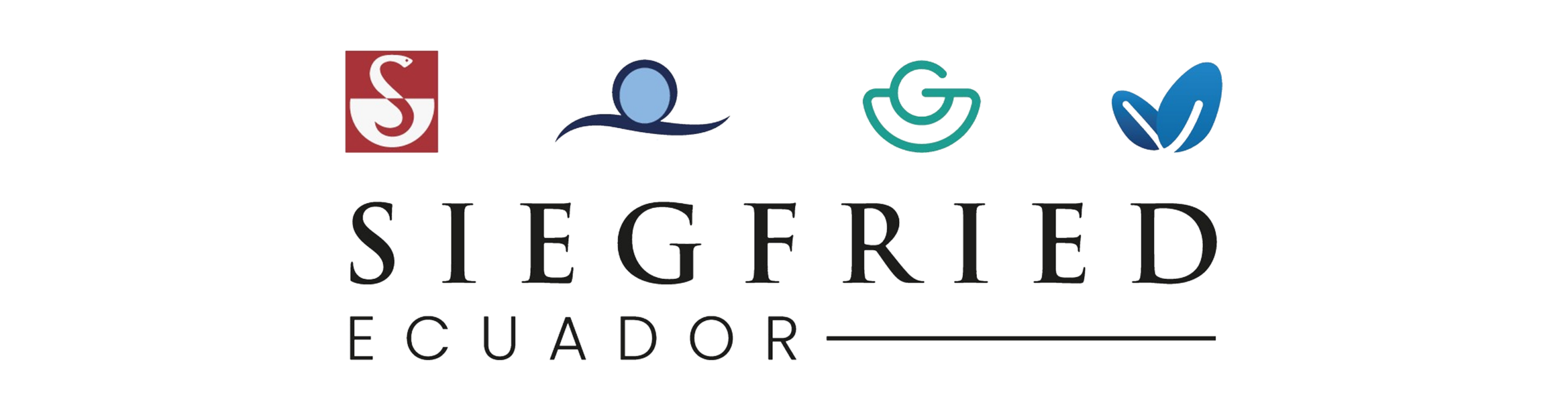 Logo Siegfried